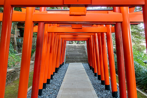 NAGASAKI, Japan, 01/11/19. Row of wooden famous red Torii Gates in Suwa Shinto Shrine in Nagasaki, Japan.