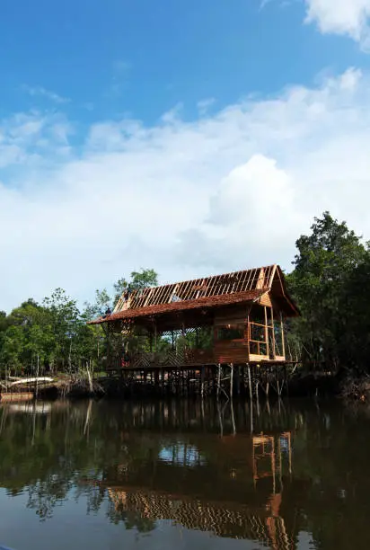 Photo of Bintan Mangrove