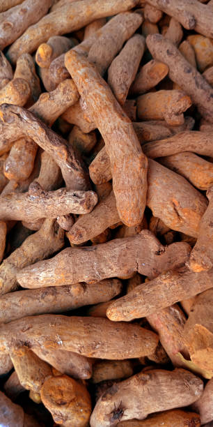 istock fresh food presentation of snacks 1281774881