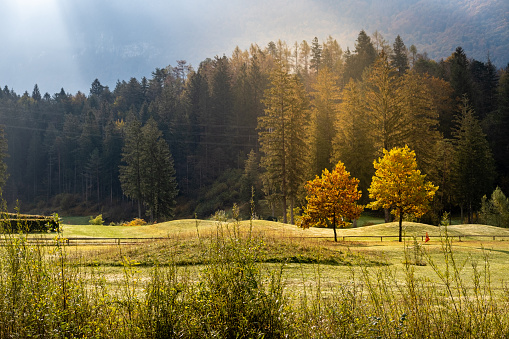 Beautiful autumn morning in Julian Alps, Slovenia, Europe.