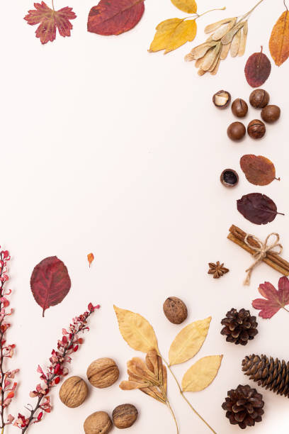 istock Autumn concept. Colored autumn leaves, cones and nuts on a light pink background with space for text 1281776821