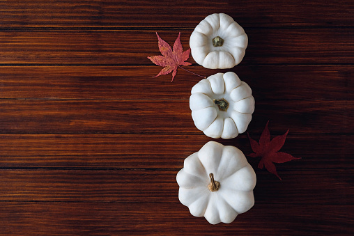 White mini pumpkins on dark wooden background, top view, flat lay. Space for text. Fall background. Halloween or Thanksgiving celebration.