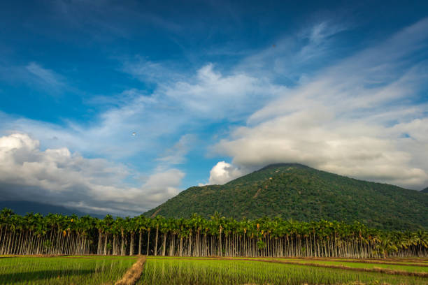 Mountains Velliangiri view with blue sky and green fores