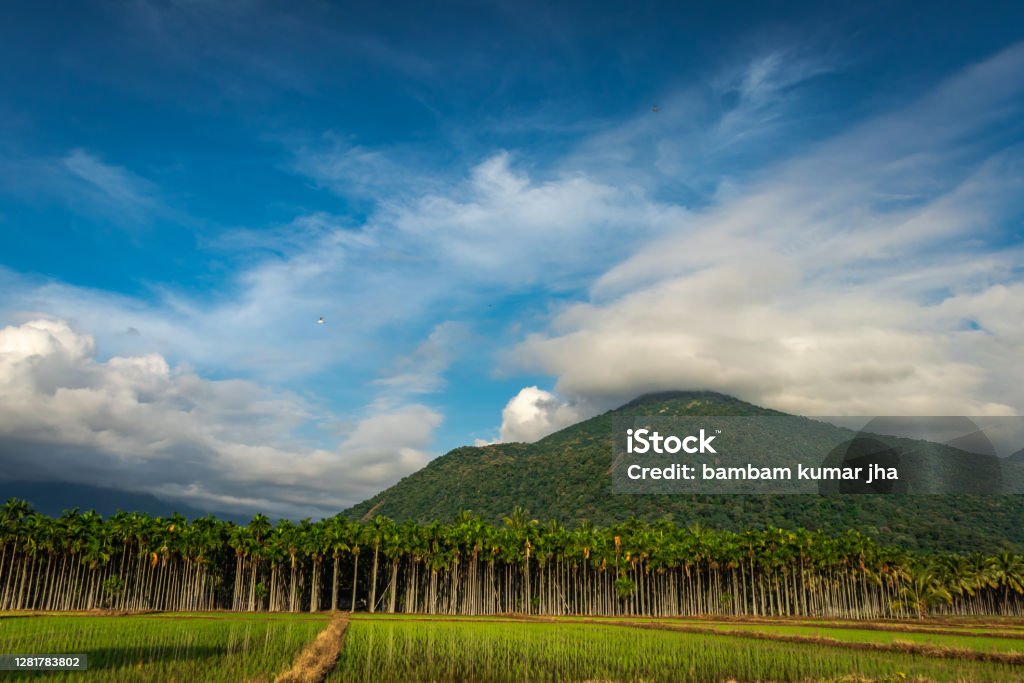 Mountains Velliangiri view with blue sky and green fores Mountains Velliangiri view with blue sky and green forest image taken at dhyanlinga coimbatore india showing its beauty. India Stock Photo