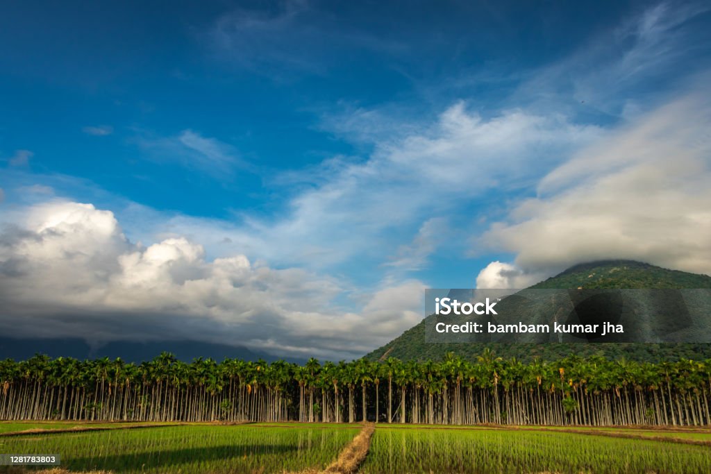 Mountains Velliangiri view with blue sky and green fores Mountains Velliangiri view with blue sky and green forest image taken at dhyanlinga coimbatore india showing its beauty. Coimbatore Stock Photo