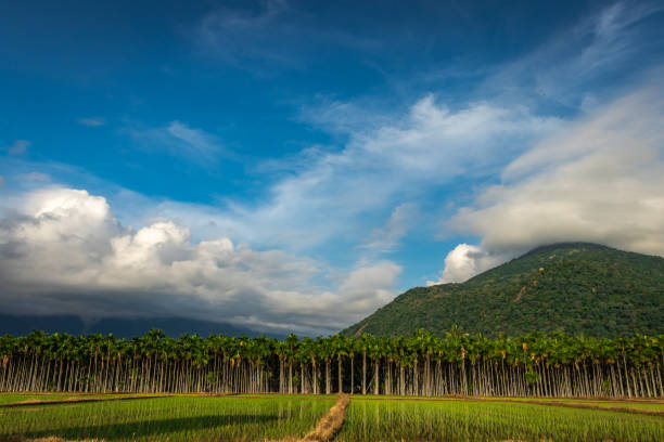 Mountains Velliangiri view with blue sky and green fores Mountains Velliangiri view with blue sky and green forest image taken at dhyanlinga coimbatore india showing its beauty. tamil nadu stock pictures, royalty-free photos & images