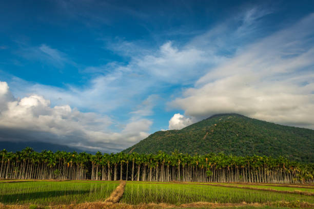 istock Mountains Velliangiri view with blue sky and green fores 1281783894