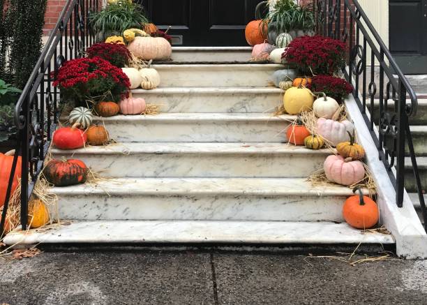 citrouilles et gourdes et escaliers avant stoop - front stoop photos et images de collection