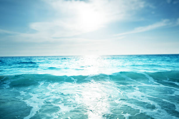 istock seychelles beach in sunset time, tilt shift effect 1281790098
