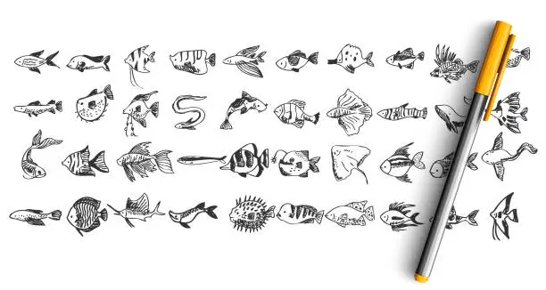 Vector illustration of Fish doodle set
