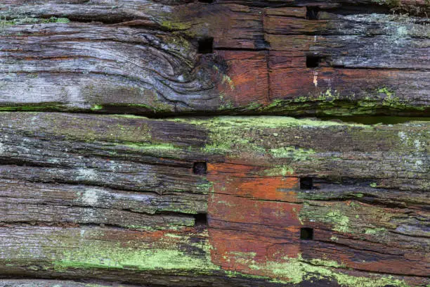 Old weather-beaten and rotten wooden planks with lichens