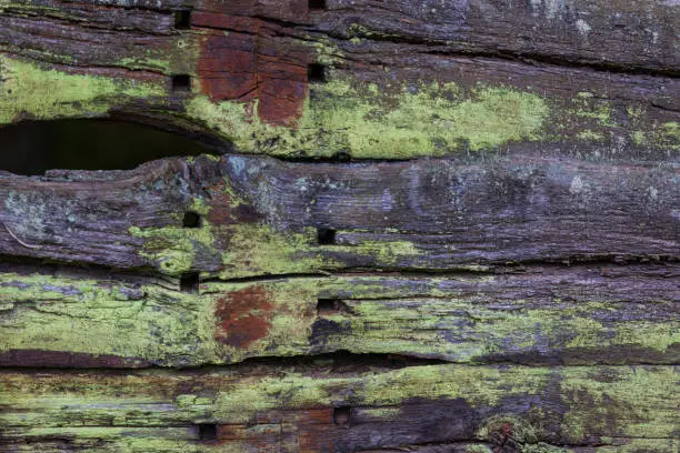 Old weather-beaten and rotten wooden planks with lichens