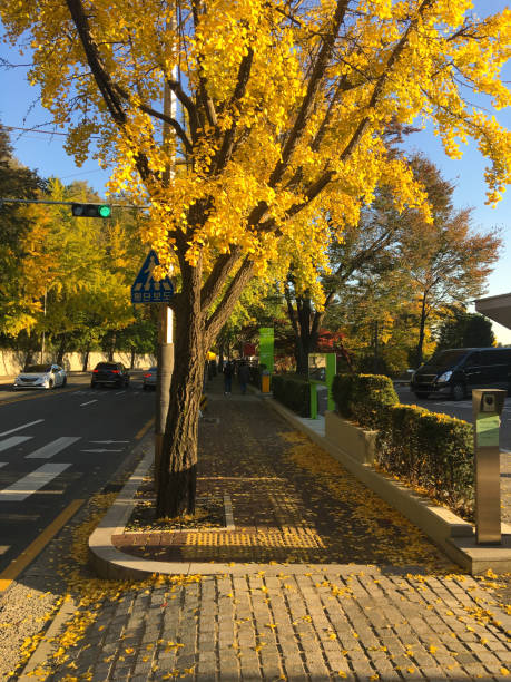istock Seoul Namsan Sowol-gil 1281794389