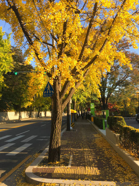 istock Seoul Namsan Sowol-gil 1281794391