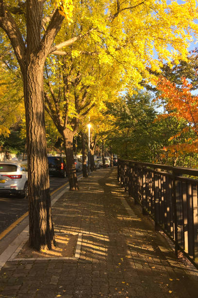 istock Seoul Namsan Sowol-gil 1281794392