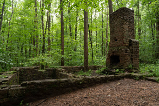 istock Cabin Ruins in the Forest 1281797013