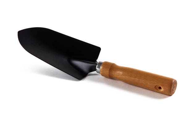 istock Shovel gardening on white background 1281805587