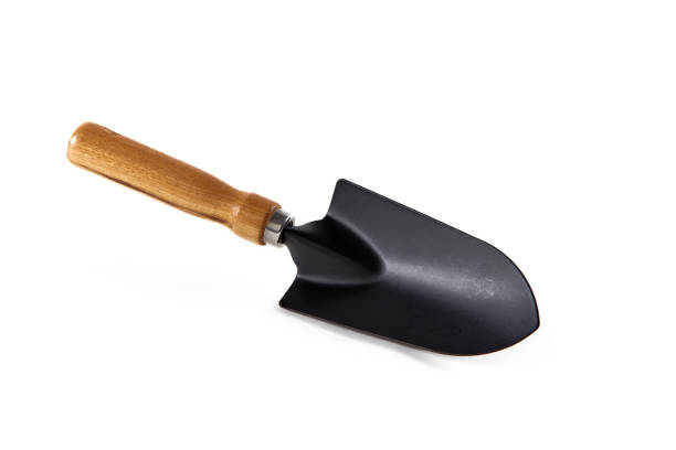 istock Shovel gardening on white background 1281805589