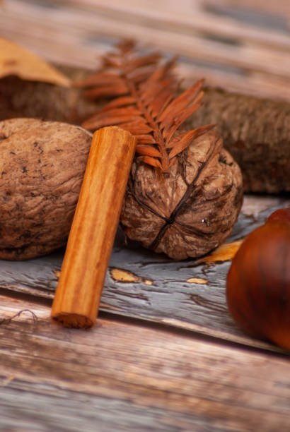 Vibrazioni autunnali: castagne, noci, foglie secche e cannella - foto stock