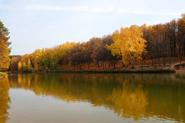 istock autumn forest is reflected in the river water 1281807815