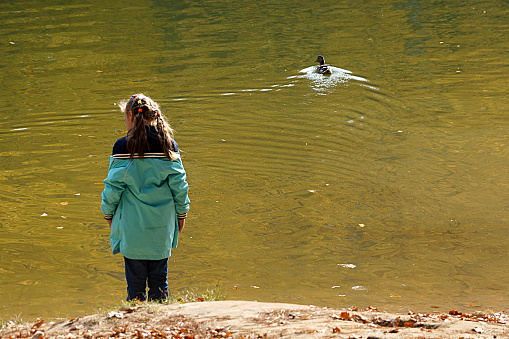 child girl stands by the lake and looks at the floating duck.