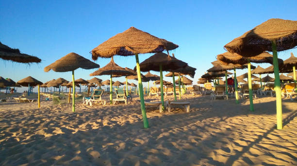 istock Sunny day in the Tunisian beach 1281808874