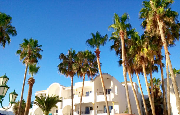 istock Sunny day in Tunisia 1281808911