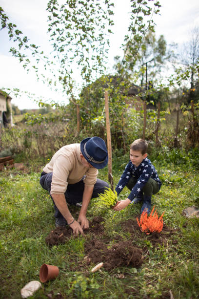 istock Active senior man enjoying planting with his grandson 1281813229