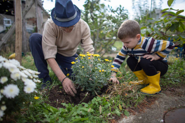 istock Active senior man enjoying planting with his grandson 1281813241