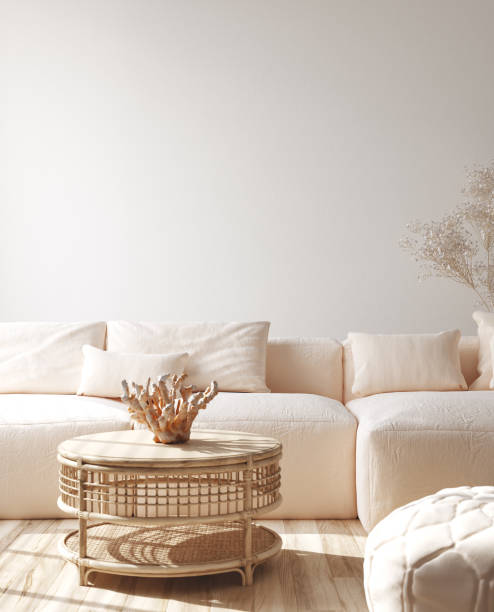 Modern living room interior with stylish sofa, coral on rattan table