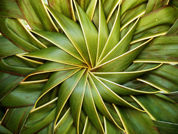 Sophisticated pattern obtained from woven coconut leaves as part of a handmade basket