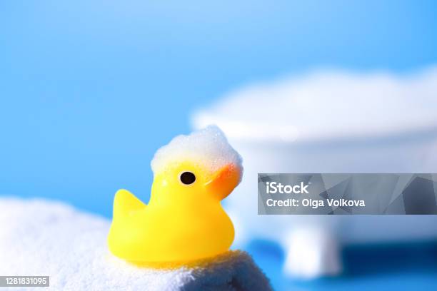 Rubber Duck Stock Photo - Download Image Now - Soap Sud, Rubber Duck, Duck  - Bird - iStock