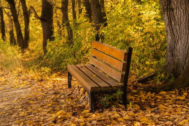 istock Bench in the Park ,Golden autumn in October. 1281833760