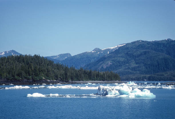 istock Alaska - Prince William Sound - Scattered Ice - 1997 1281834748