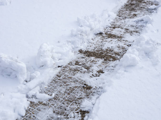 istock Garden pathway in the backyard is cleared of white snow. 1281839281