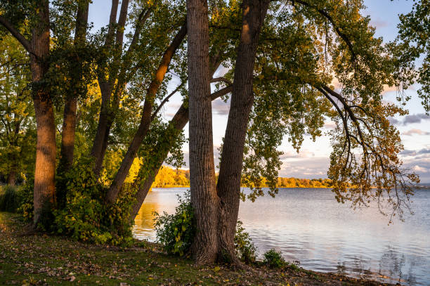 istock Autumn Colors, Fall Foliages, Natures Colorful Palette 1281839530