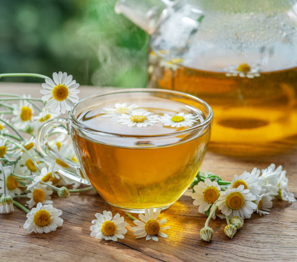 chá de camomila de ervas e flores de camomila perto de bule e copo de chá na mesa de madeira. fundo do campo. - chamomile herbal tea chamomile plant tea - fotografias e filmes do acervo