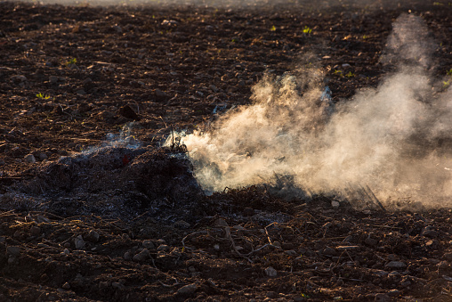 Farmers burn the dry grass and straw stubble on field in autum, another cause of global warming.