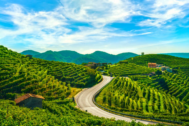 viñedos y carretera. prosecco hills, sitio de la unesco. valdobbiadene, véneto, italia - veneto fotografías e imágenes de stock