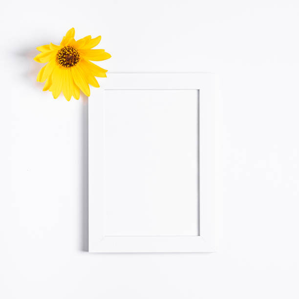 istock White empty picture frame mock up with yellow flower on white background, flat lay 1281845032