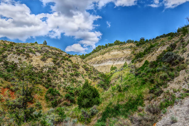 istock Theodore Roosevelt National Park Views 1281847207
