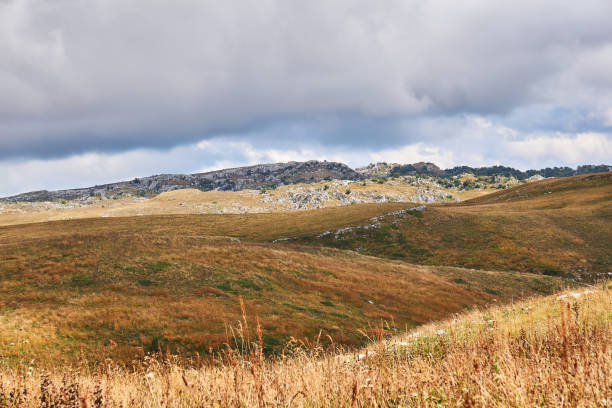 istock rocky mountain plateau with dry grass under cloudy sky 1281850158