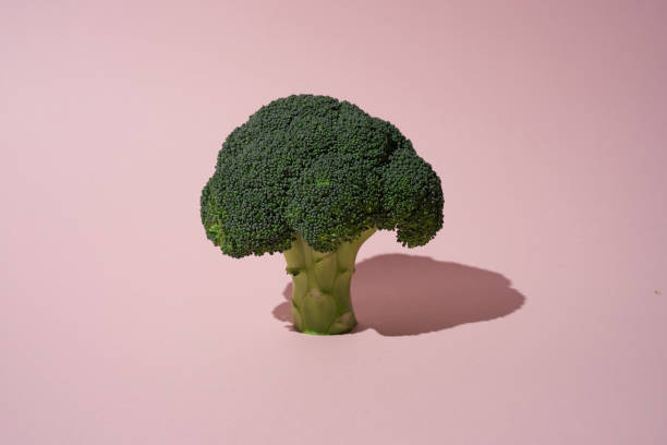 istock green raw broccoli with shade on pink background 1281851495