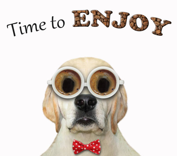 istock Dog in coffee glasses 1281853001