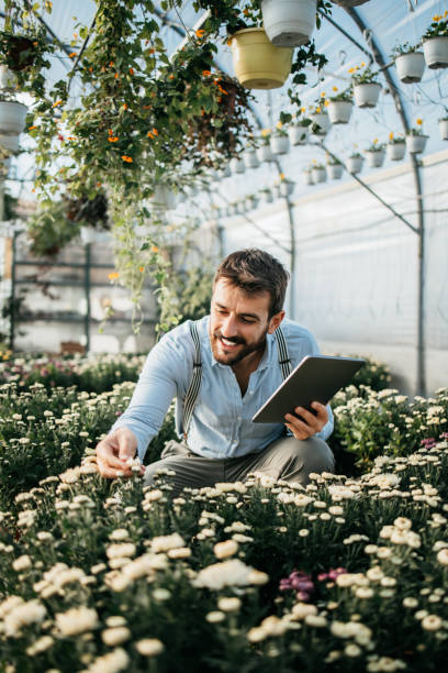 istock Male worker in greenhouse 1281854241