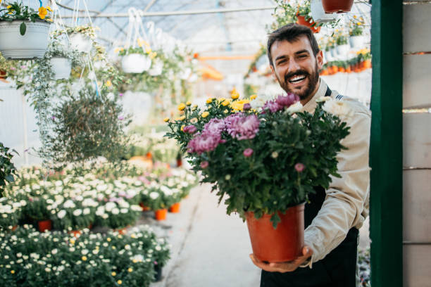 istock Male worker in greenhouse 1281854250