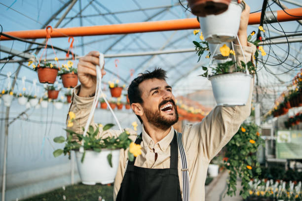 Happy middle age worker or owner working in greenhouse with beautiful potted flowers and house plants. Small business concept.