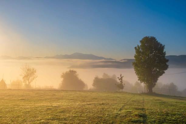 istock Beautiful Autumn Colors 1281855633