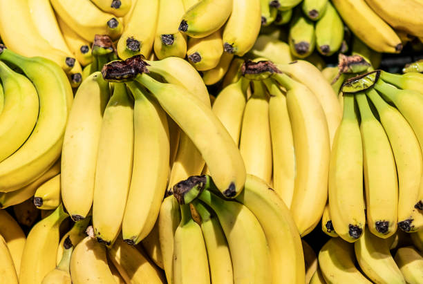bananas frescas na prateleira do supermercado - banana bunch yellow healthy lifestyle - fotografias e filmes do acervo
