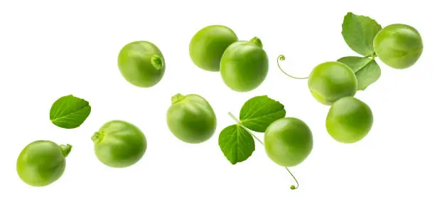 Falling green peas isolated on white background with clipping path